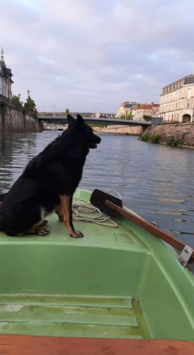 Le Gite Embarque - Gere Par Presta-Zen'Services - Barque Electrique En Supplement Verdun-sur-Meuse Eksteriør bilde